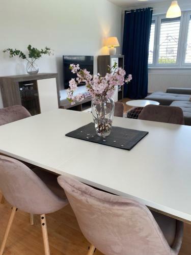 Apartm�n Lu?nice T?ebo?
