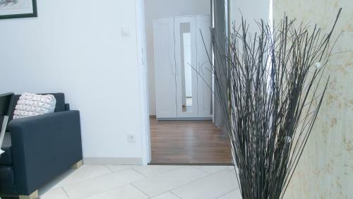 Laguna Apartment