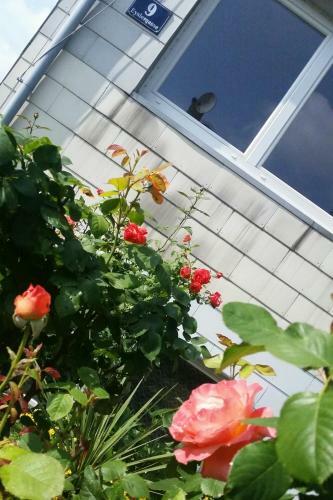 Apartment Nahe Rosenh�gel
