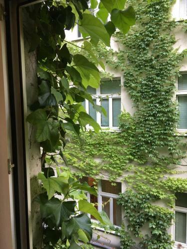 Apartamento Charmante Altbauapartments Apostelgasse