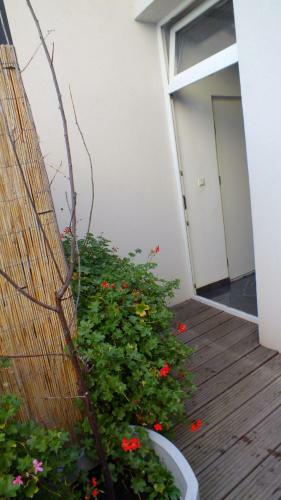 Apartamento Royal Palace Home