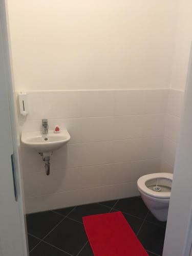 New Stylish Apartment