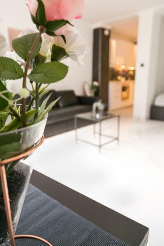 Apartamento Supreme Vienna Studio
