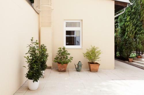 Apartamento Vienna-flats