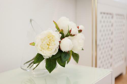 Apartamento Vienna-flats