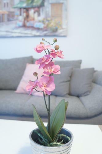 Apartment Vienna