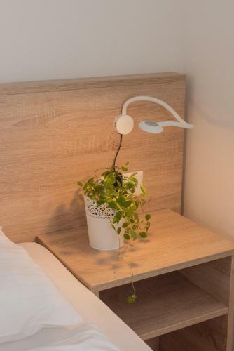 Albergue Metro Apartments Vienna