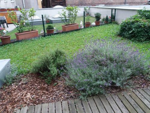 Apartamento Terrassentraum