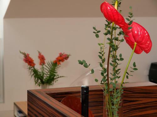 Design Apartment Penzing