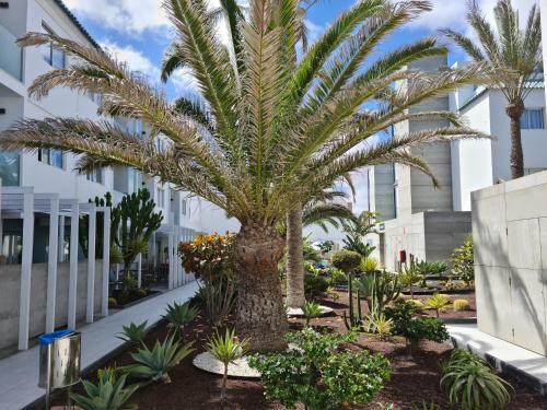 Corralejo Sunset Beach Apart Hotel