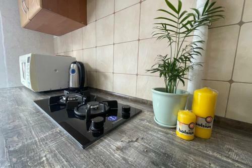 Un Apartamento �nico Con Un Largo Balc�n