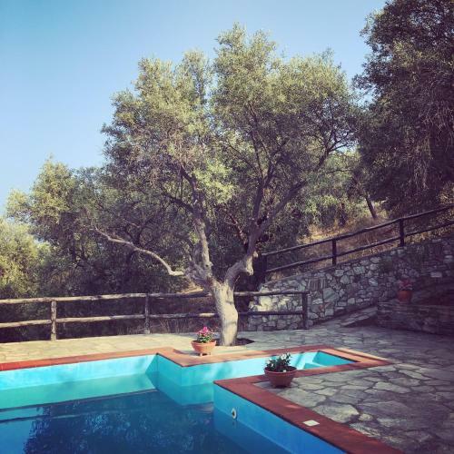 Villa Valia: Traditional Luxurious Residence