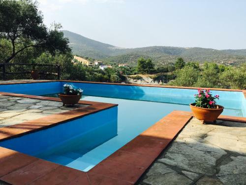Villa Valia: Traditional Luxurious Residence