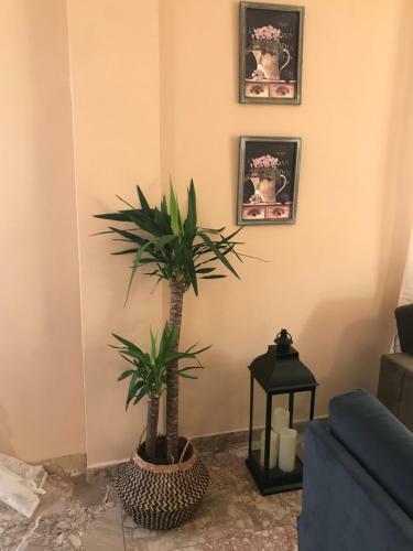 Navarino Apartment