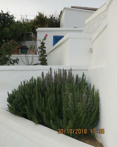 Andoni's House