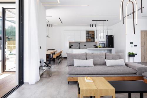 Physis & Wood Villa