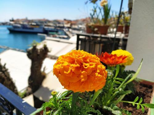 Aegean Blu Port House Pythagoreio