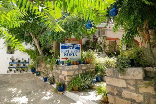 Albergue Sofia Rooms
