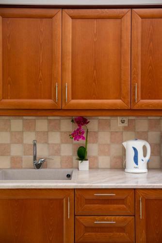 Apartamento Vrisanos