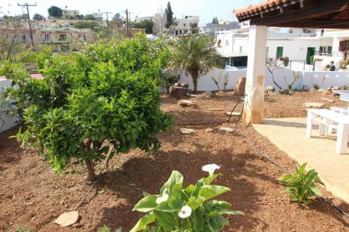 Hostal Olympias Studio