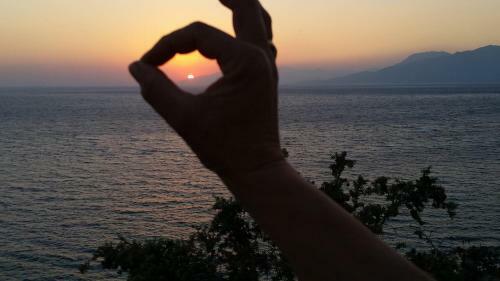 Hostal Olympias Studio