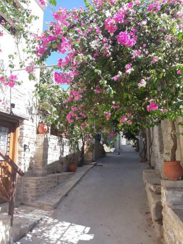 Agroturismo Kritikies Elaia