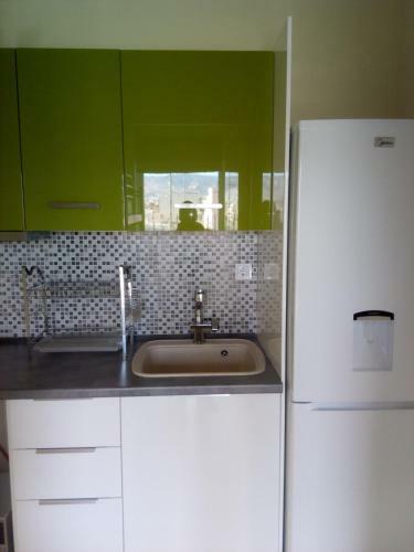 Apartment Elena