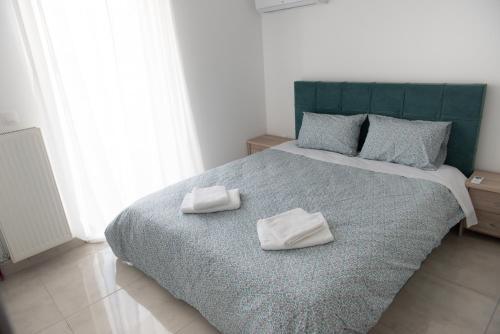 Modern Spacious Apartment Located In Piraeus (b8)