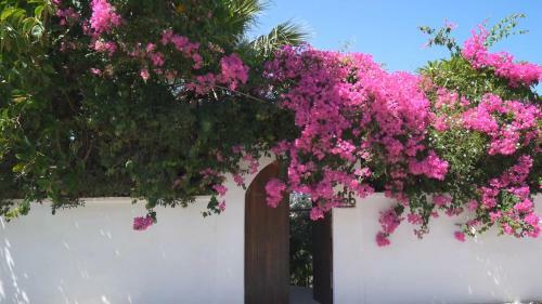 Alexiszorba Villa