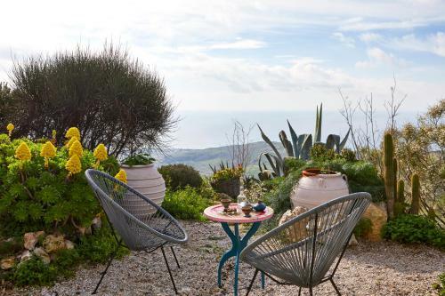 Garden Architect's Studio