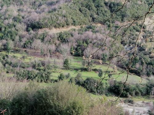 Evdoxia Estates