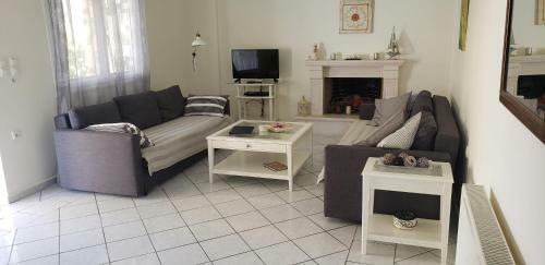 Villa The Olive Grove
