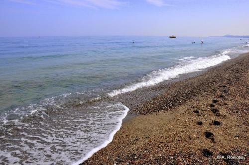 Arokaria Holiday Houses