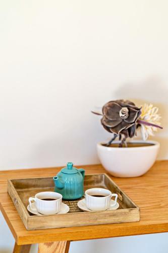Apartamento Fedra Guest House