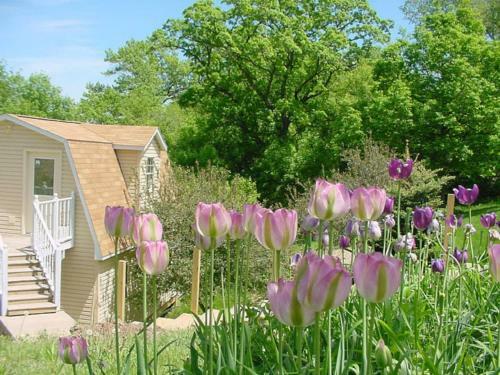 Lodge Trickling Waters Retreat