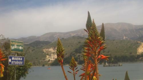 Hostal Marina Studios I