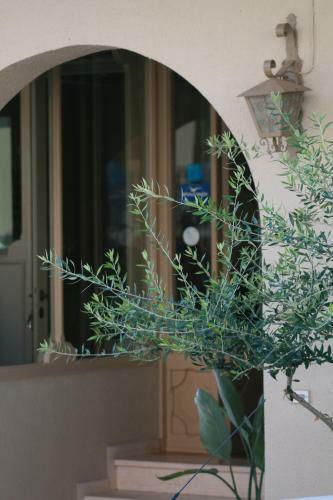 Argostoli Hotel