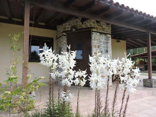 Geomelia Guest House & Studio