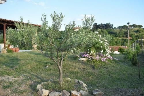 Geomelia Guest House & Studio