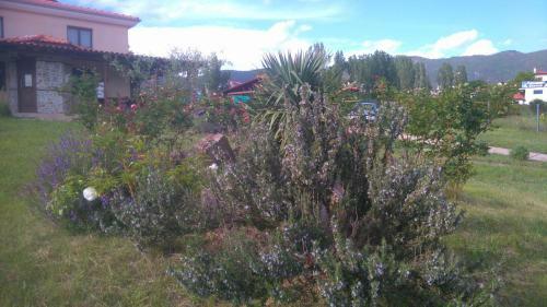 Geomelia Guest House & Studio