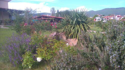 Geomelia Guest House & Studio