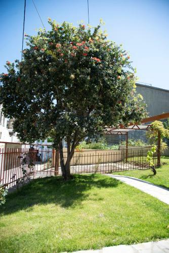 Ferienhaus Kreta Sonnenschein