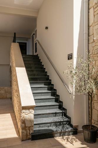 Hotel Elia Platanias