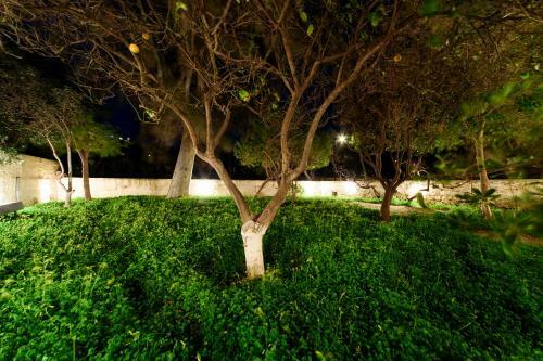Apartamento Jasmine Of Poseidonia