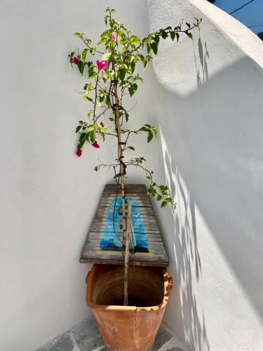 Summer House