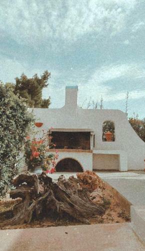 Olive Grove Soulis Family Estate