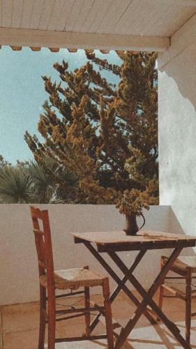 Olive Grove Soulis Family Estate