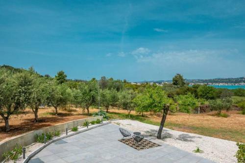 Orange Tree