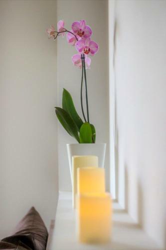 Apartamento Anastasia's Studios