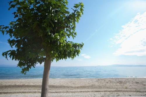 Apartamento Cavo Blue Coastal Living